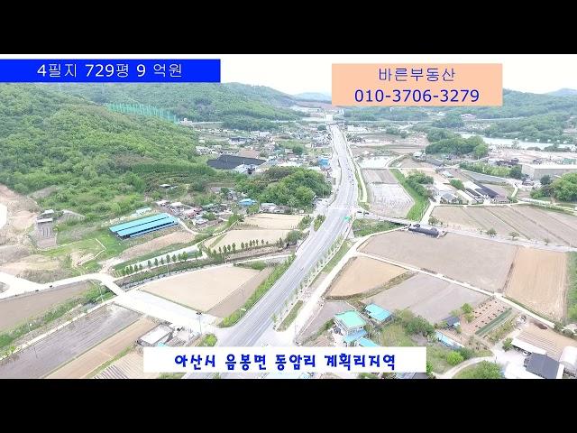 아산시토지,음봉면 토지,