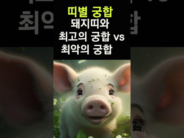 돼지띠에게 복을 가져다 주는 띠는? 띠궁합! 돼지띠와 만나면 최고 vs 최악의 궁합 띠 #띠별운세, #띠별궁합, #사주, #대박, #돼지띠, #운세,