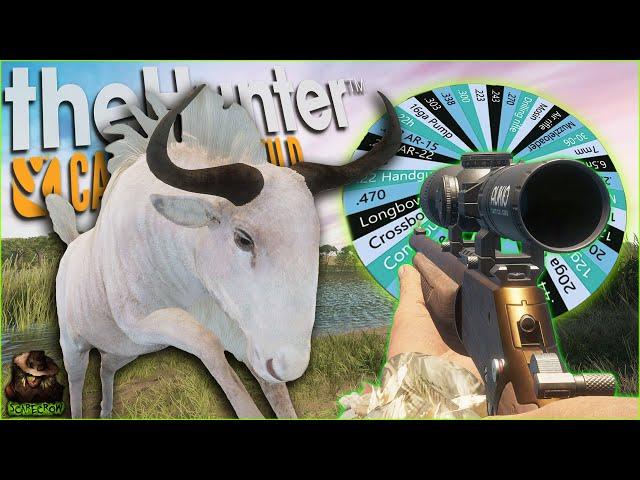 The Random Wheel Delivers An INSANE Albino Blue Wildebeest! Call of the wild