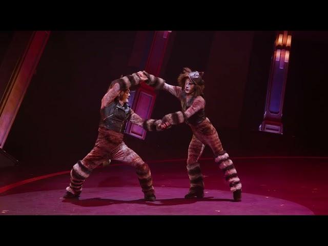 “Mungojerrie and Rumpleteazer” from CATS at Paramount Theatre | Broadway Series #CircusCATSAurora