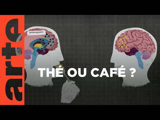 Pourquoi manger ce qu’on mange ?  | 42, la réponse à presque tout | ARTE