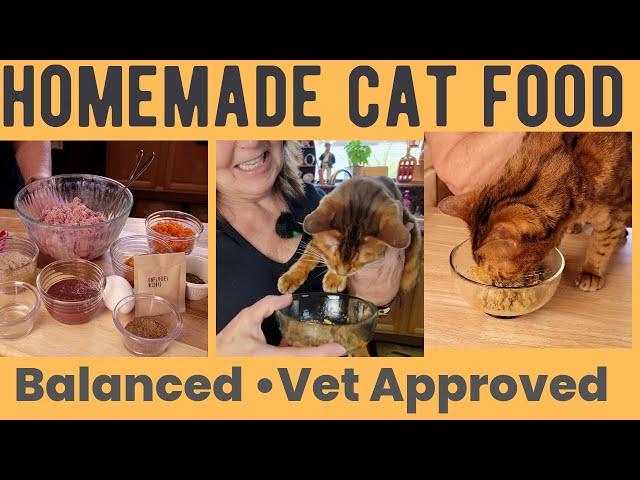 Cat Food Recipe  "Vet Approved" for Optimal Feline Health