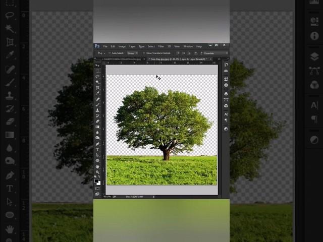 How To Select Complicated Background in Photoshop| Change Background| Visual Graphics