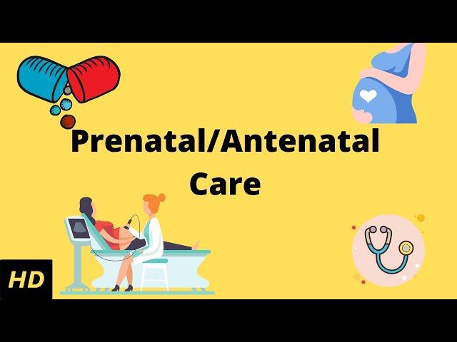 What is Prenatal/Antenatal care?