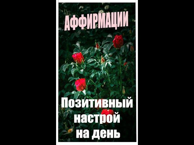 #Shorts Утренние позитивные Аффирмации. Аффирмации на позитивный настрой. Аффирмации на день