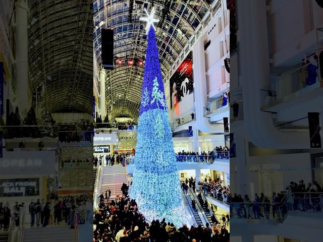 Tree Light And Snow Show@Toronto Eaton Centre