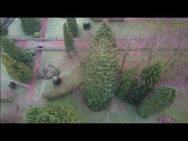 DÉMONTAGE ET ABATTAGE D'UN ARBRE DE 34M DE HAUT DÉRACINÉ AVEC LA TEMPÊTE 