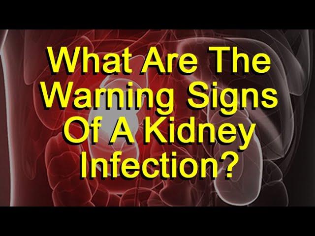 What Are The Warning Signs Of Kidney Infection?