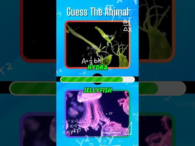 Which animal can clone itself,  becoming "immortal" under certain conditions? #riddles #quiz