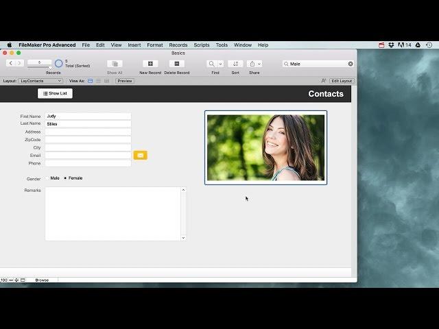 Filemaker Pro Basics for beginners