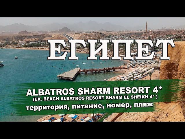 ЕГИПЕТ 2024| ALBATROS SHARM RESORT 4*. Территория, номера, питание, пляж