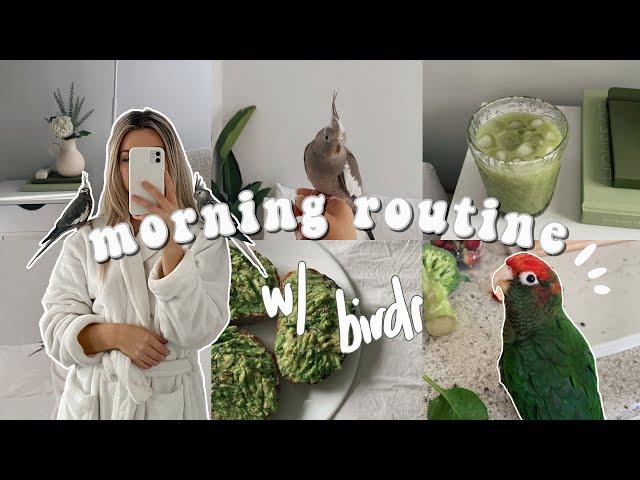 MORNING ROUTINE W/ COCKATIELS & connie