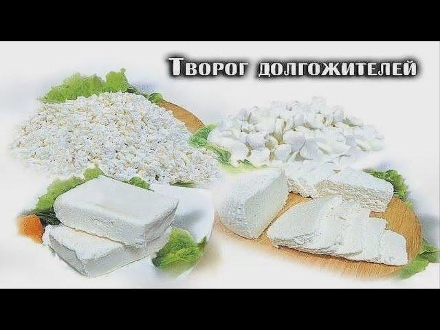 ТВОРОГ ДОЛГОЖИТЕЛЕЙ ПОЛЕЗНЫЕ СОВЕТЫ