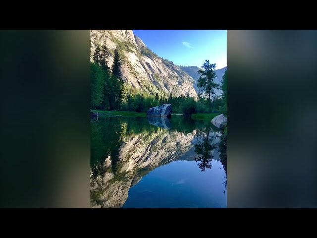 Fish Camp & Yosemite National Park