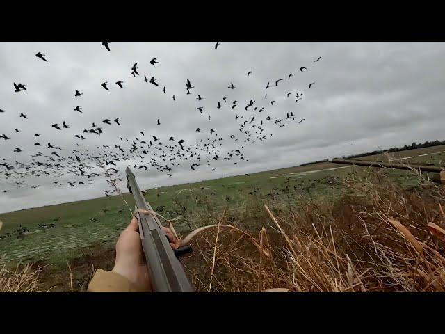 We Battled MUD on this Epic Goose Hunt!!!