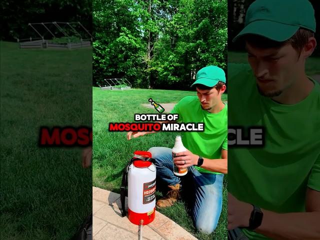 I Tried Mosquito Miracle Instead of Chemicals and WOW!