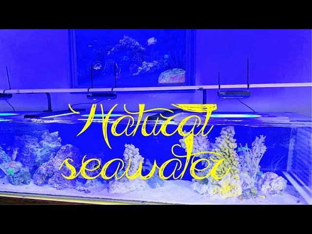 Making NATURAL aquarium SEAWATER. #natural #seawater #reeftank