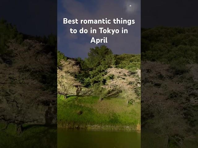 Sumidagawa Hanami boat cruse #hanami #tokyo #sightseeingtokyo#tsukimi #moon