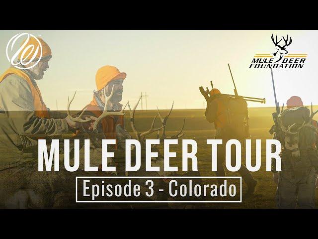 Mule Deer Tour: Episode 3 - Colorado W/ Hush + Infinite Outdoors