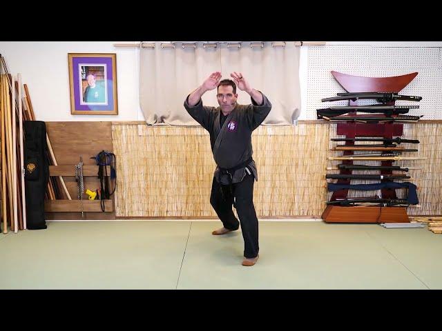 Beginner Stances of the Bujinkan