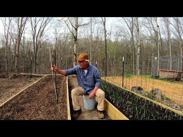 Electroculture Gardening: Raised Beds with Copper Antennas  #electroculture #organic #farming