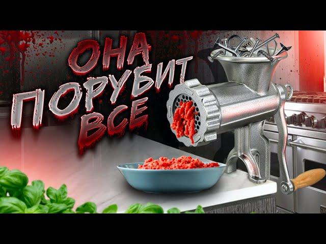 Моя идеальная мясорубка: как выбрать? Гайд по выбору мясорубки