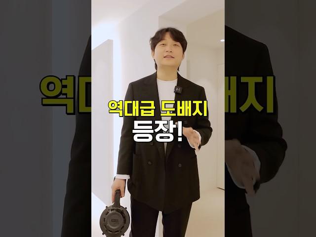 역대급 도배지! 필름같은 마감이 되.. 무몰딩, 무걸레받이, 무문선(삼무) 가능한 벽지가 나왔다?! 2025 LX신상 디아망 포티스! #인테리어팁
