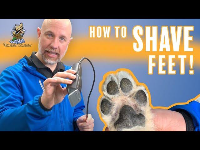 Learn How to Shave Your Dog's Feet from The Soggy Doggy