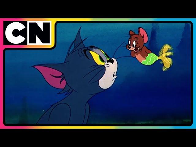 Tom & Jerry | Funniest Cat and Mouse Battle! | Compilation | Funny Cartoon Video | @cnindia