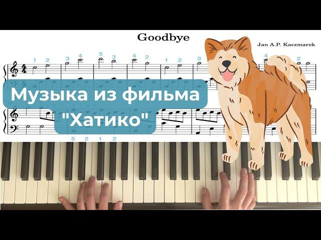 Goodbye музыка из фильма Хатико на фортепиано Jan A.P. Kaczmarek (ost Hachiko) piano