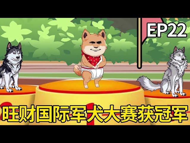 Free and unfettered life EP22: Wangcai participated in the international military dog competition a