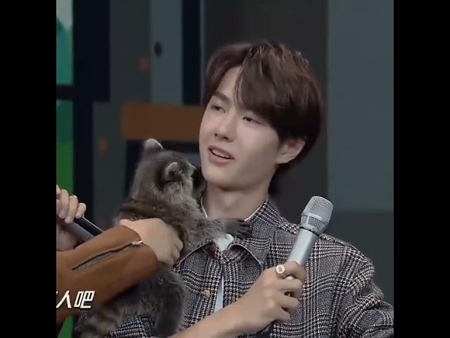 Wang Yibo with animals is such a adorable thing to watch