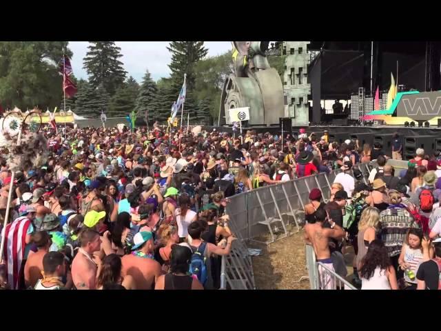 Allison Wonderland Full Set 2015 Electric Forest