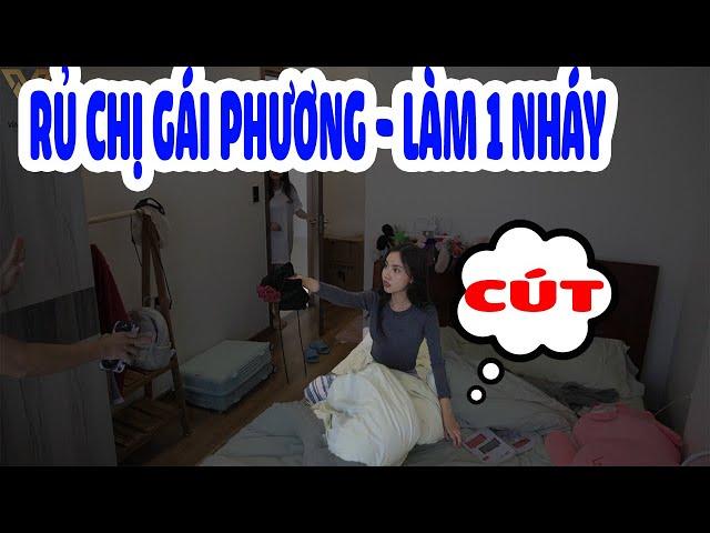 Troll Xin LÀM 1 NHÁY với Chị Gái Phương - Bị Chửi Tơi Bời | Vĩnh Vui Vẻ.