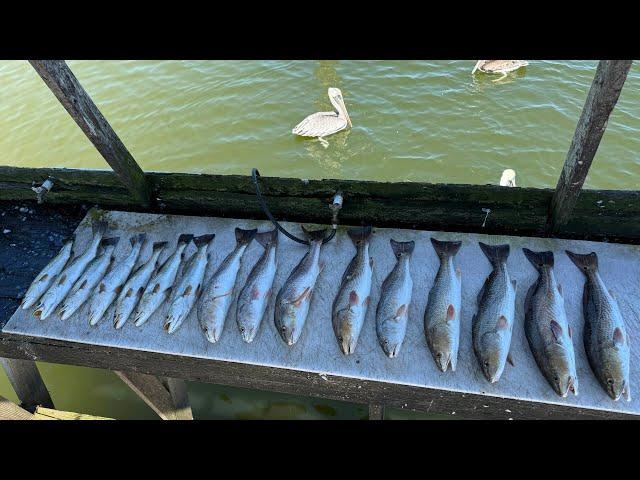 INSANE FISH ACTION NORTH LAGUNA MADRE,TEXAS