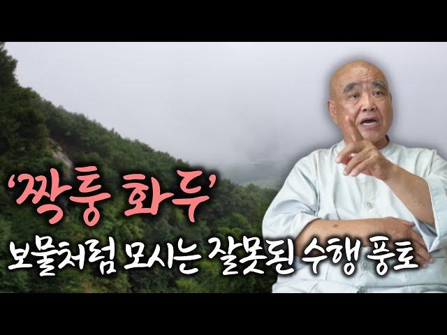 1300년 전 당나라 때 만들어진 화두가 지금 한국 불교에 무슨 생명력이 있나 | 참된 화두는 내 삶에서 생긴 궁금증이어야 |  '산골 노승의 푸른 목소리' 향봉스님 3