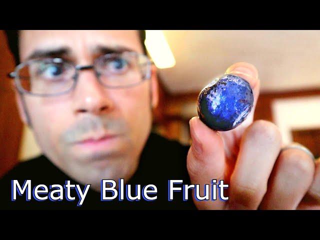 KHO FRUIT - A Shiny Blue Fruit that Tastes Super Savory