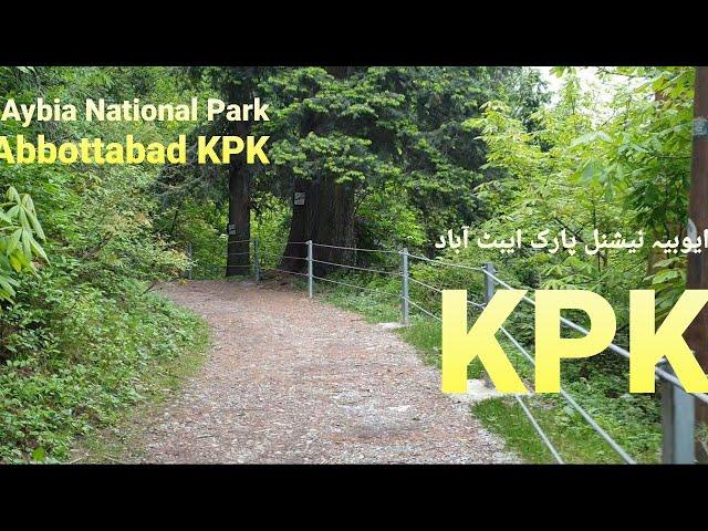 Ayubia National Park Abbottabad KPK. ایوبیہ نیشنل پارک ایبٹ آباد خیبر پختون خواہ