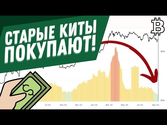 Этот сигнал появляется только на ДНЕ рынка! | Биткоин и криптовалюты | Анализ 12.09.2024