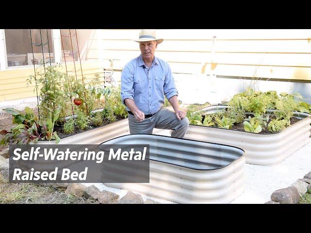 How to Grow Vegetables With Self-Watering Metal Raised Beds | Gardener's Supply