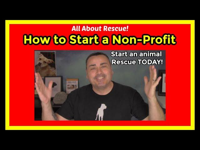 How to start an animal rescue. How to start a non profit animal rescue