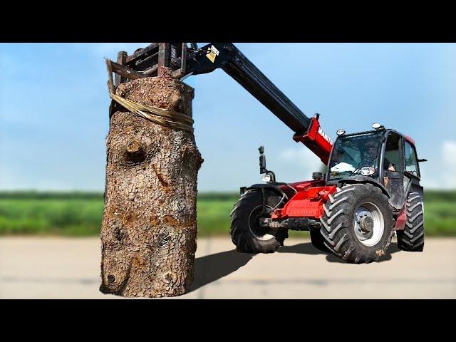 AMAZING CHAINSAW Wood Carving Bear Sculpture