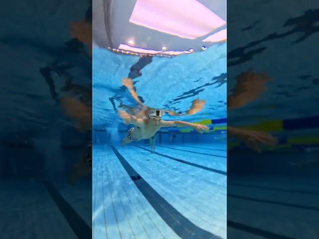 [평영/씰예스/인스타360] 발끝까지 계산된 평영 #씰예스 #씰예스수영훈련팀 #swimming #swim #일요일아침수영 #평영