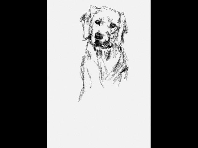 Digital Art of Cute Dog 🫟️ ll Step-by-Step ll iPad Art ll #artset #shorts #art #drawing #video