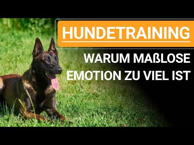  Hundetraining ️ Warum es wichtig ist, die eigenen Emotionen im Griff zu haben ️