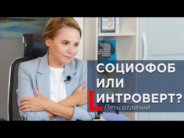 Социофоб или интроверт? 5 ключевых отличий, которые нужно знать #социофобия