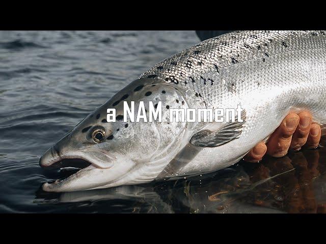 a NAM moment [ Baltic Salmon ]