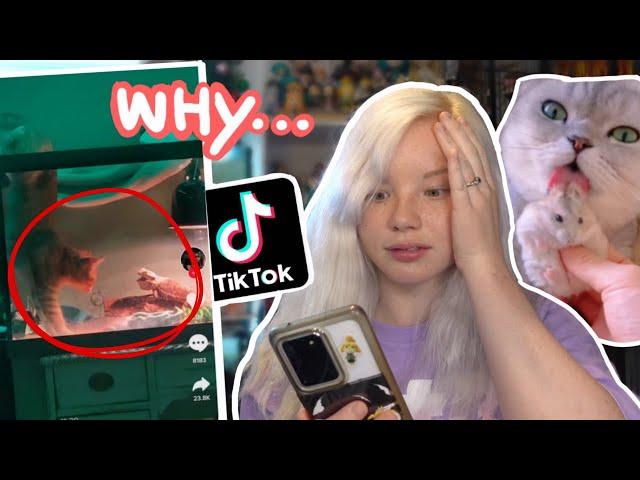 Reviewing AWFUL VIRAL Pet Tiktoks