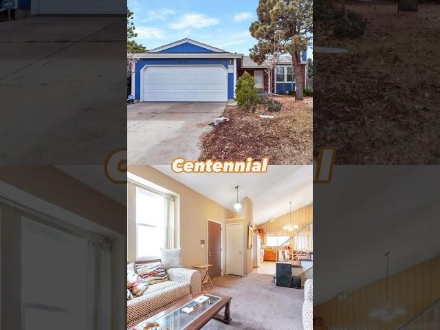 What You Can Get For $450,000 In Denver Will Blow Your Mind!