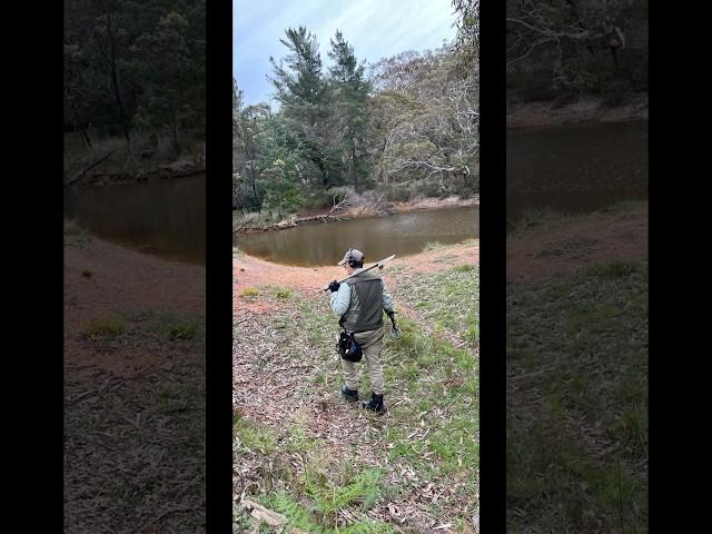 Nothing 2 Do!  Just go Detecting! #metaldetecting #treasuresearch #relics #nothing